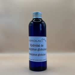 Hydrolat Eucalyptus globuleux sauvage