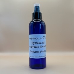 Hydrolat Eucalyptus globuleux sauvage