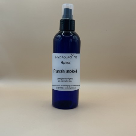 Hydrolat de Plantain lancéolé